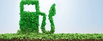 Illustration for article titled Alternative Fuel Oppo?